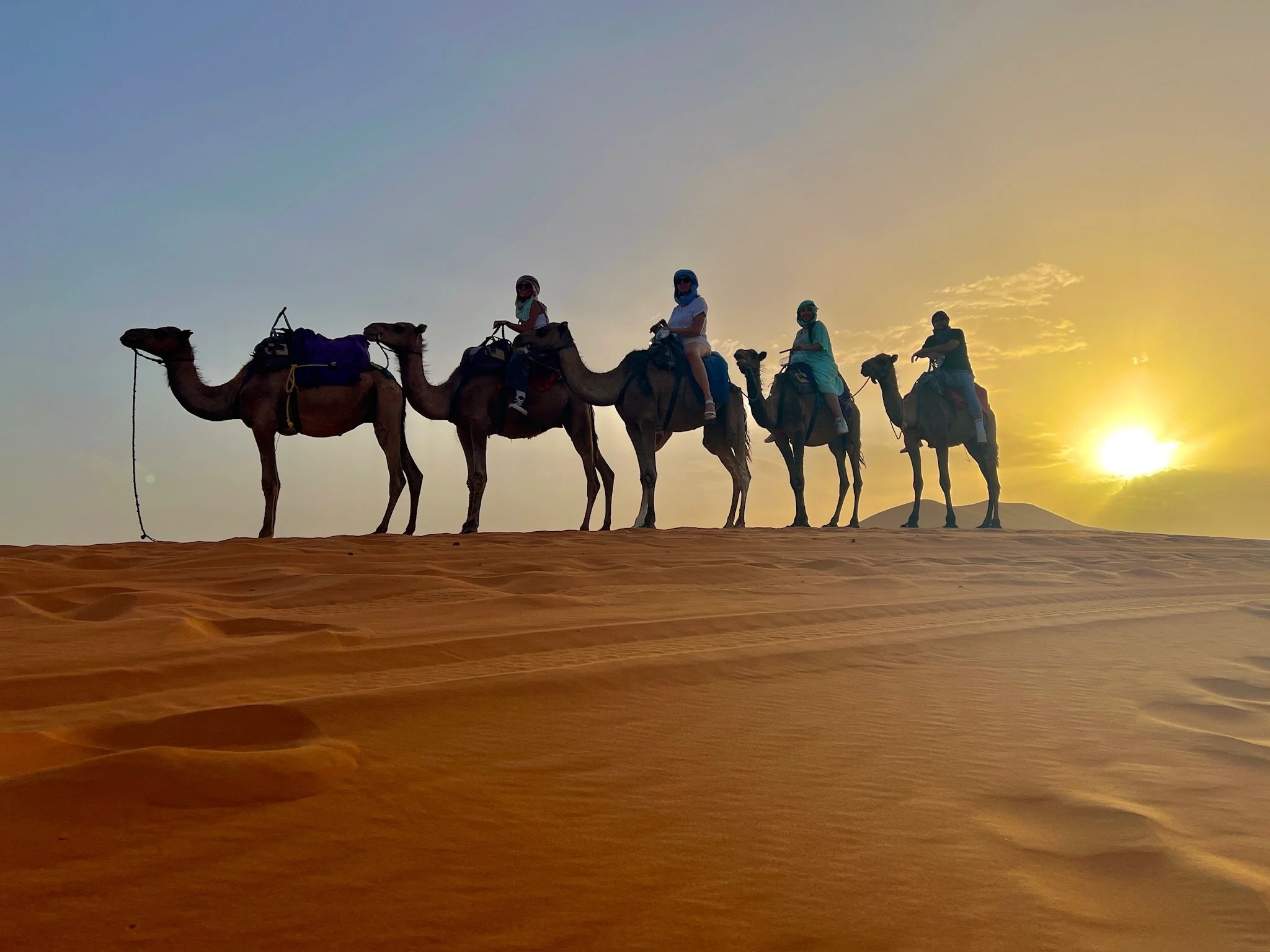 Five people riding camels in the desert during sunset.