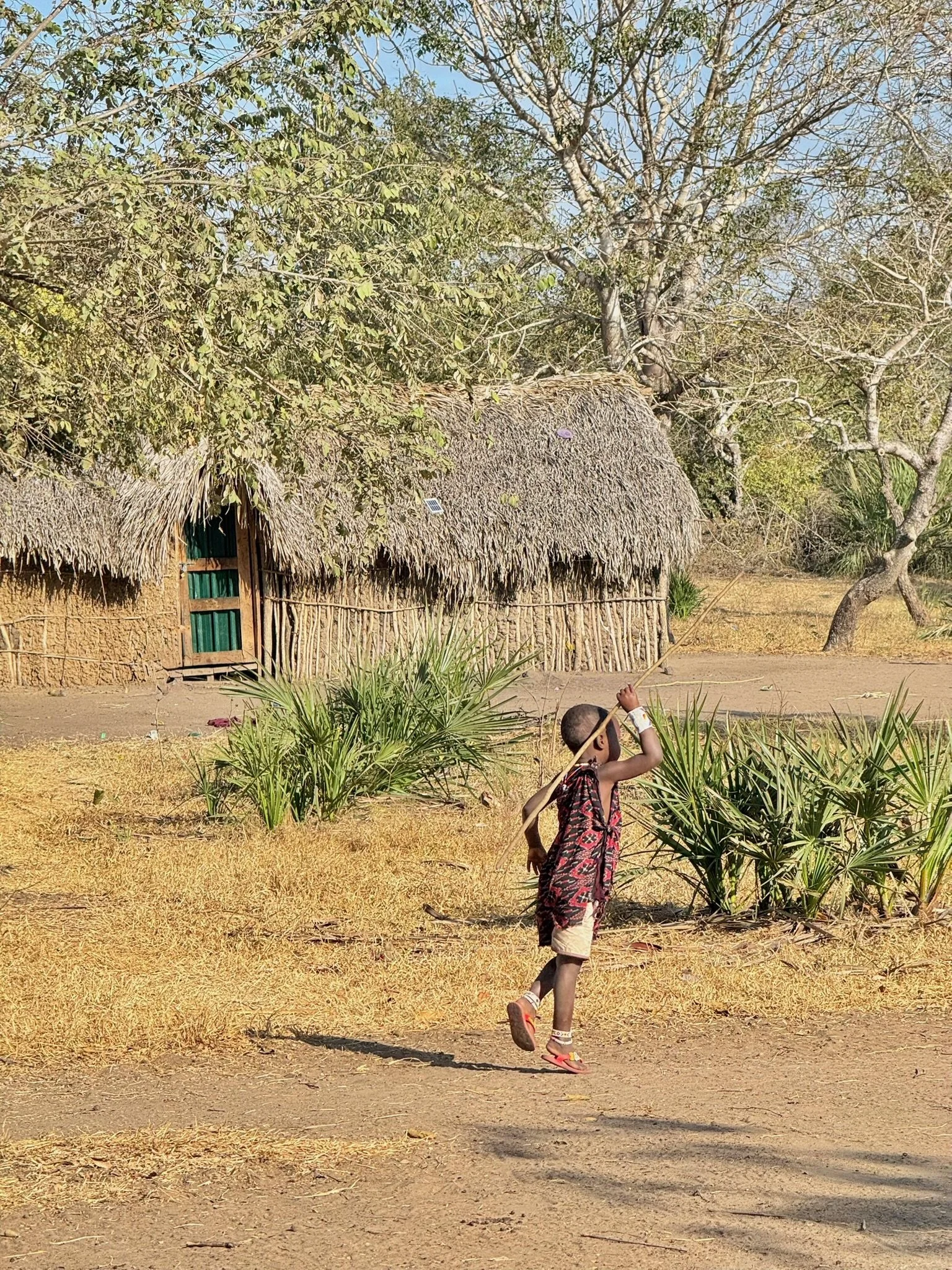 A young boy with bandages on his wrists wearing a patterned shirt and sandals, walking across a dry, sandy area near a traditional hut with a thatched roof, with trees and vegetation in the background.