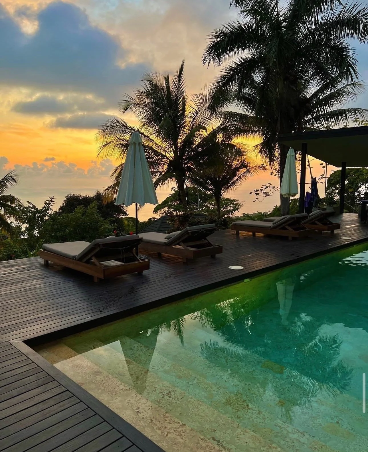 Poolside area with lounge chairs and umbrellas at sunset, surrounded by palm trees and tropical vegetation.