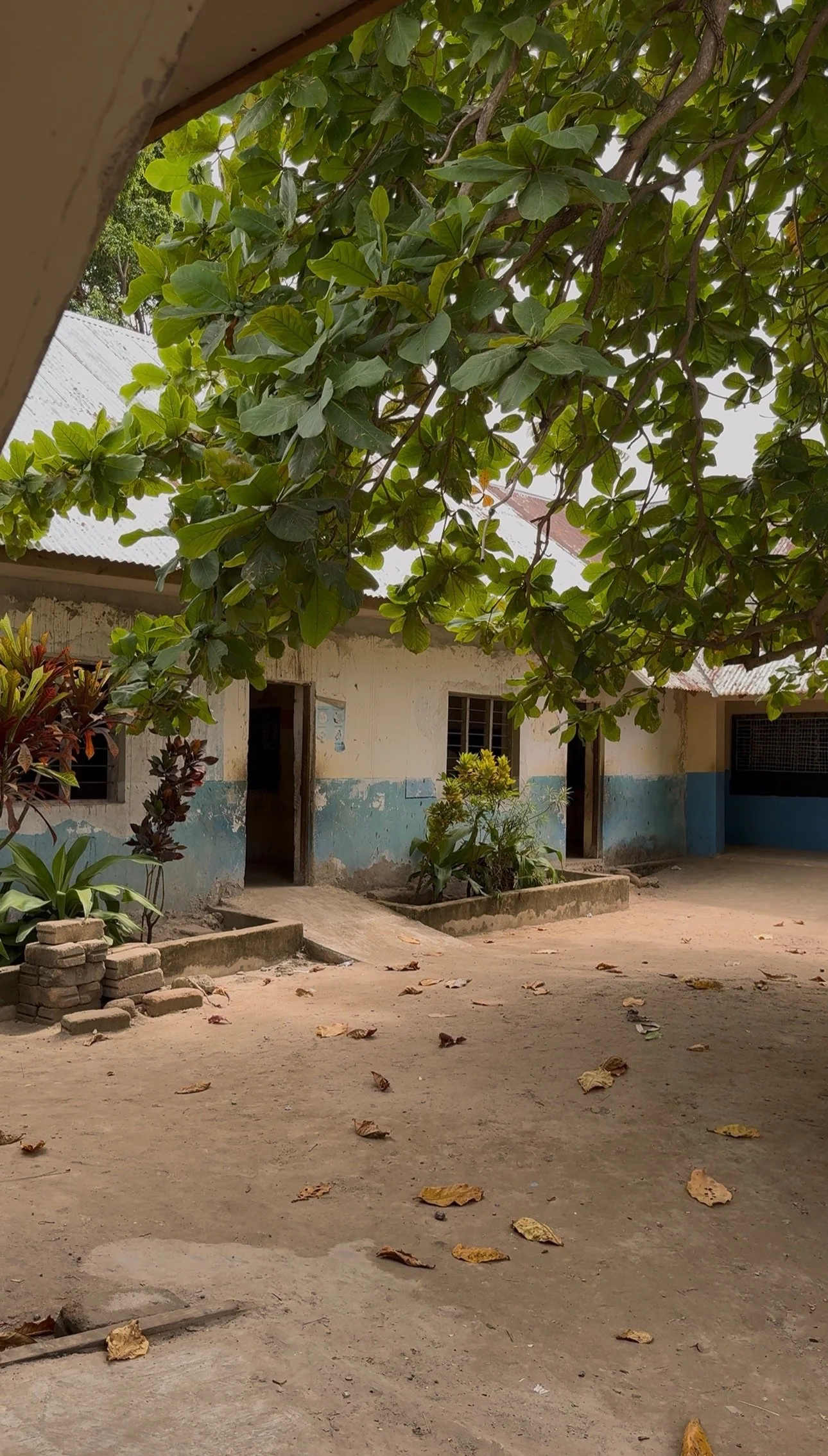 An outdoor scene of a simple building with peeling paint, surrounded by trees and plants, with a dirt ground covered in fallen leaves.