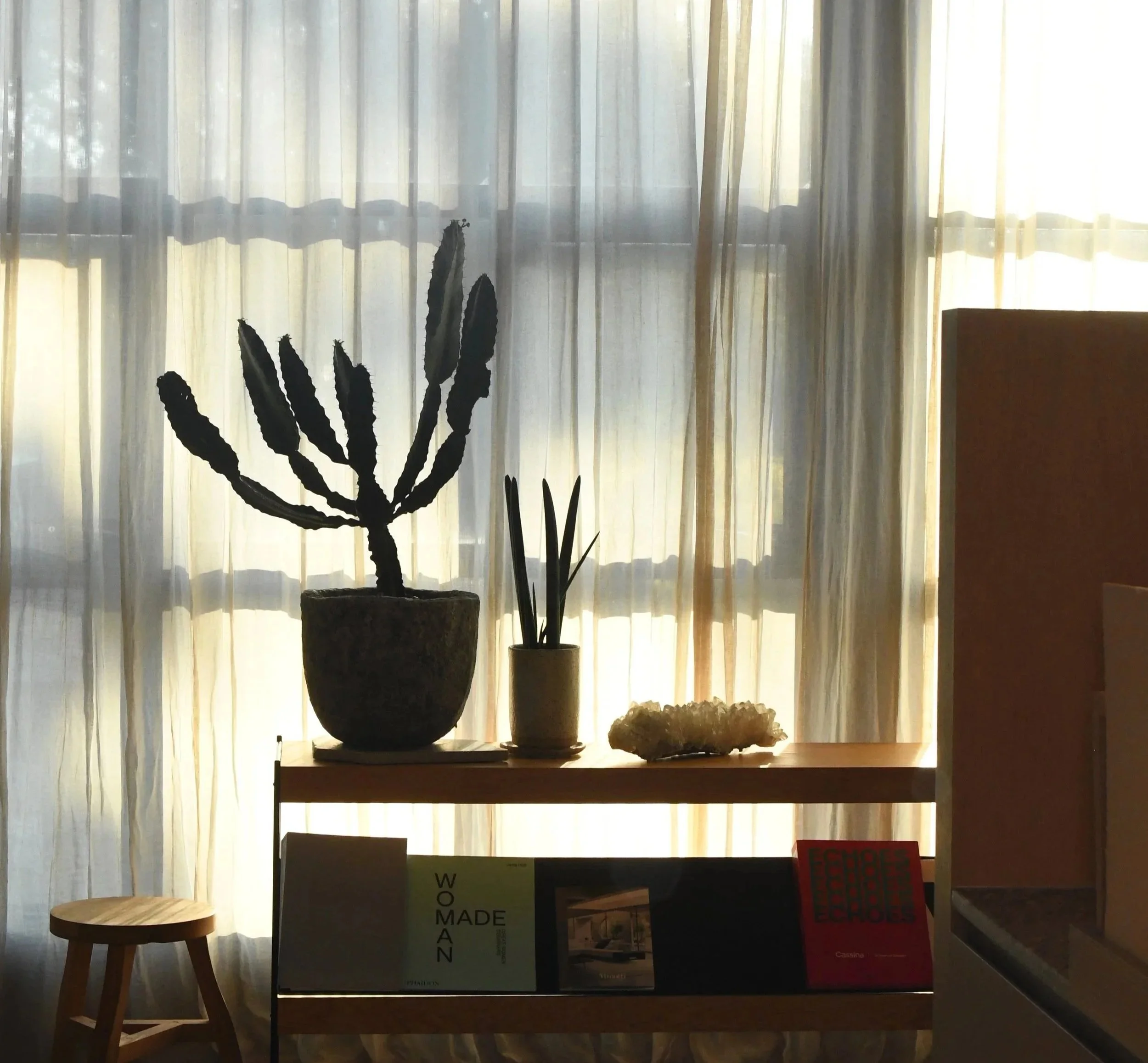 Silhouetted potted plant in front of sheer curtains with sunlight streaming through and a crystal on the table.