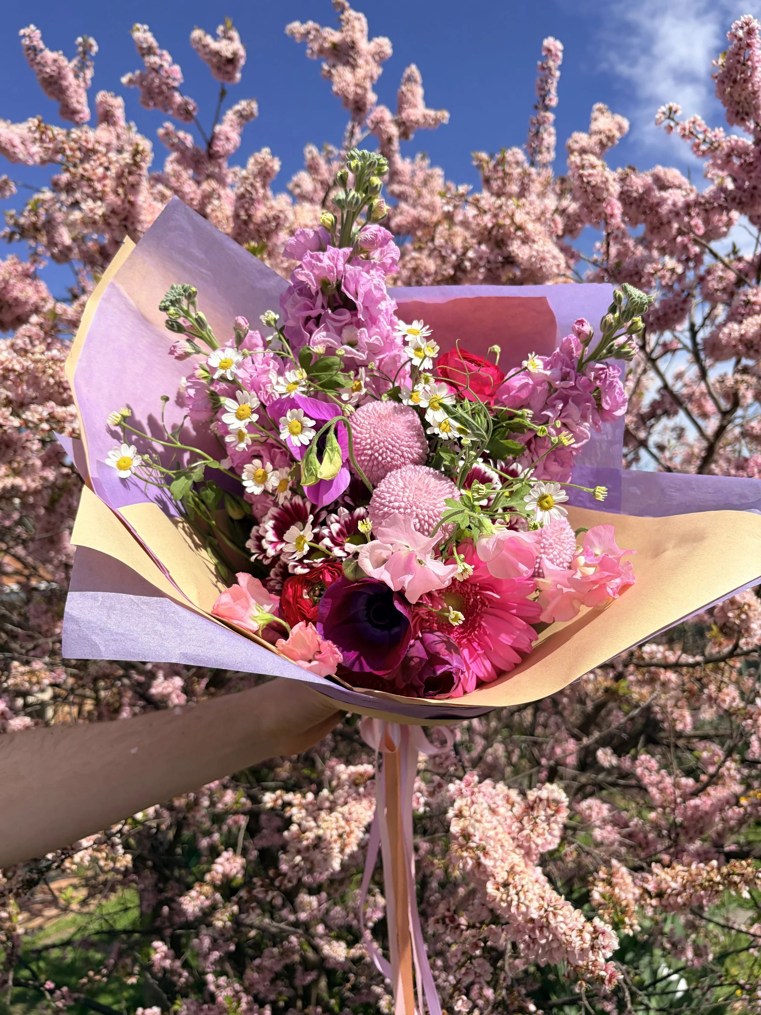 Fairy Floss