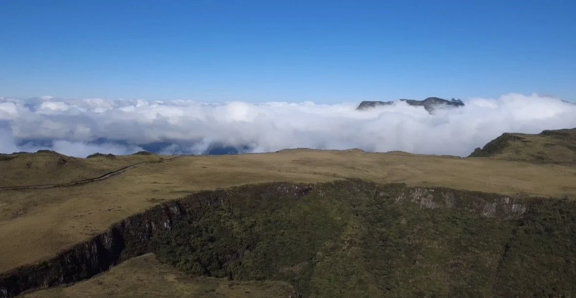 Aerial Media