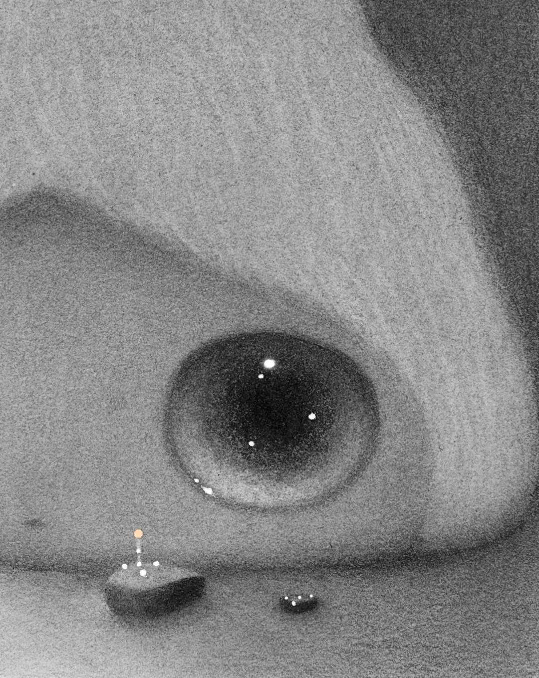 zoom_1.jpg