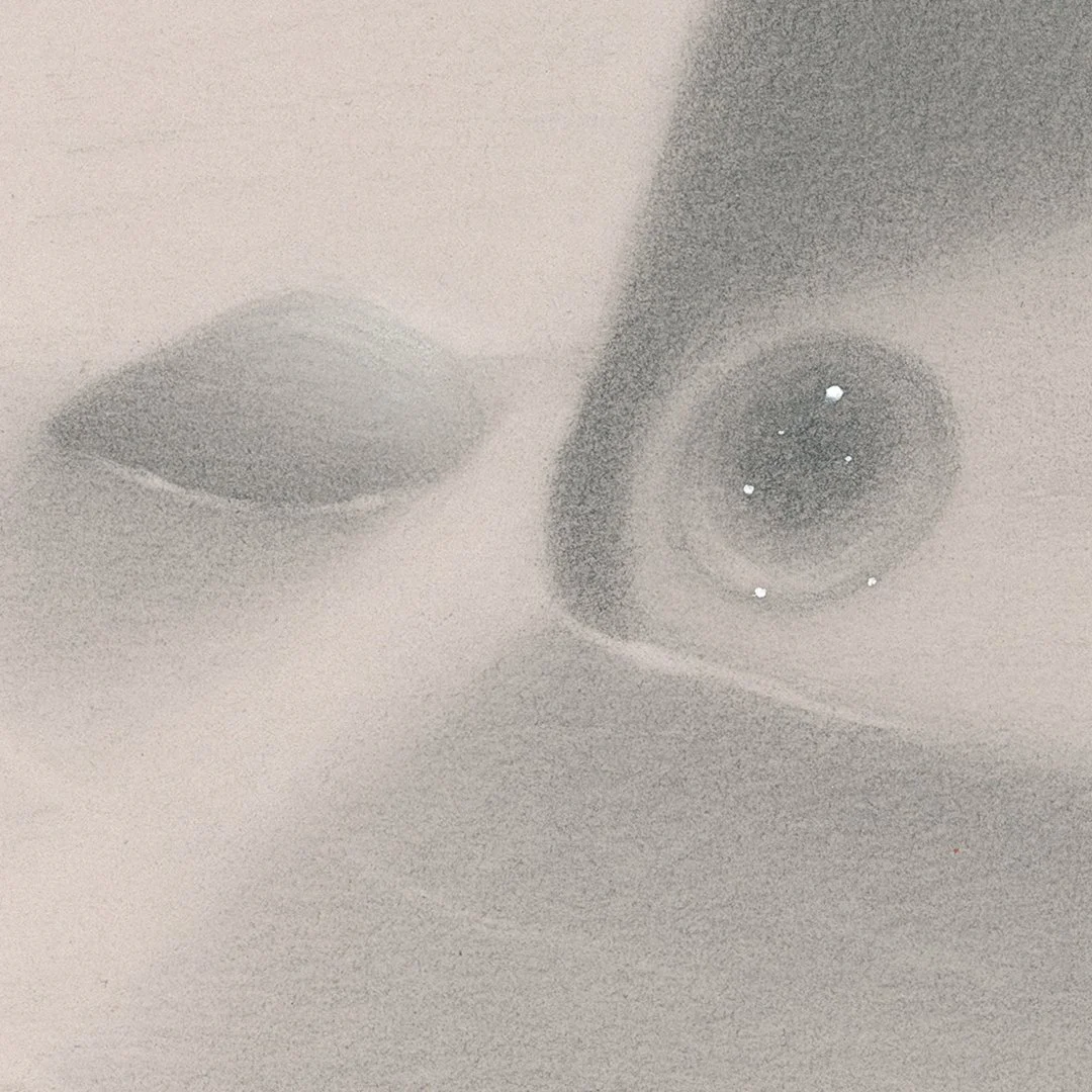 zoom_1_darker.jpg