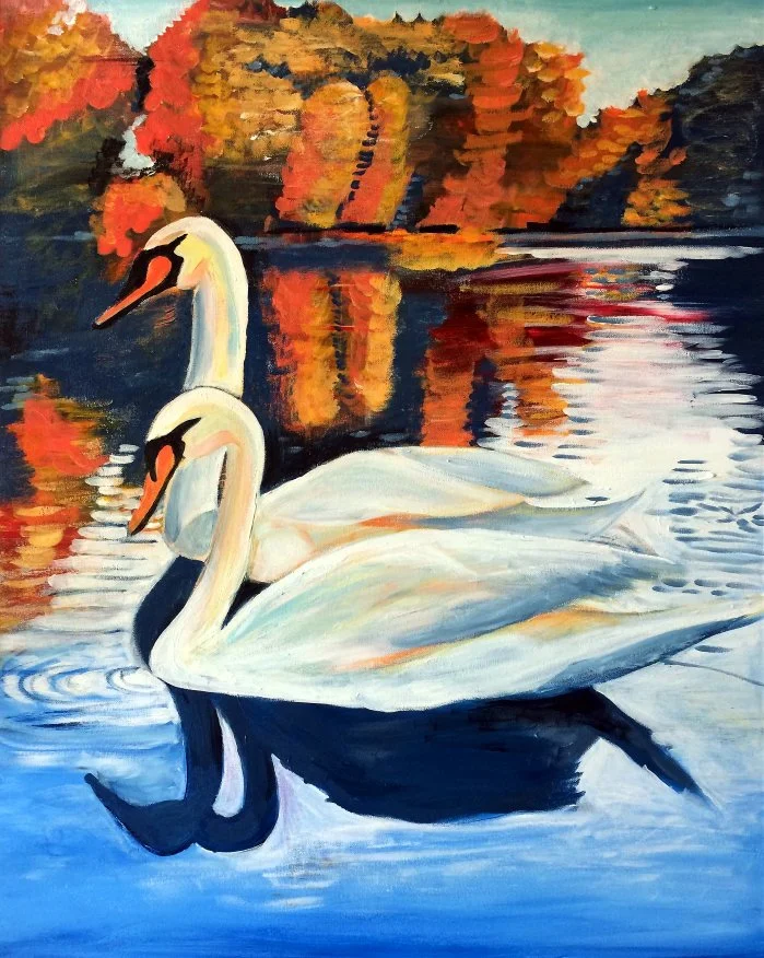 Swans.jpg