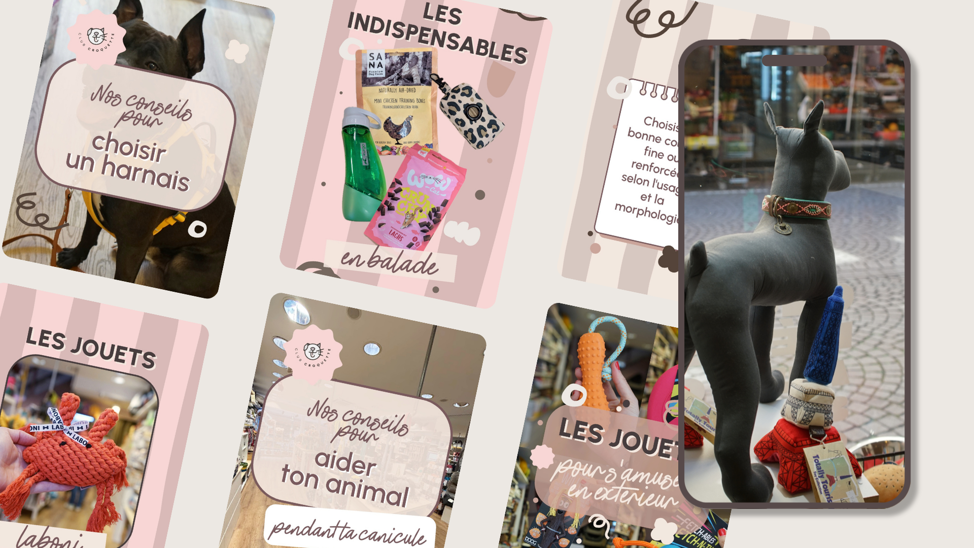 Collection d'images sur des conseils pour choisir un harnais, des indispensables pour chiens, des jouets pour animaux, et un chien en magasin portant un collier.