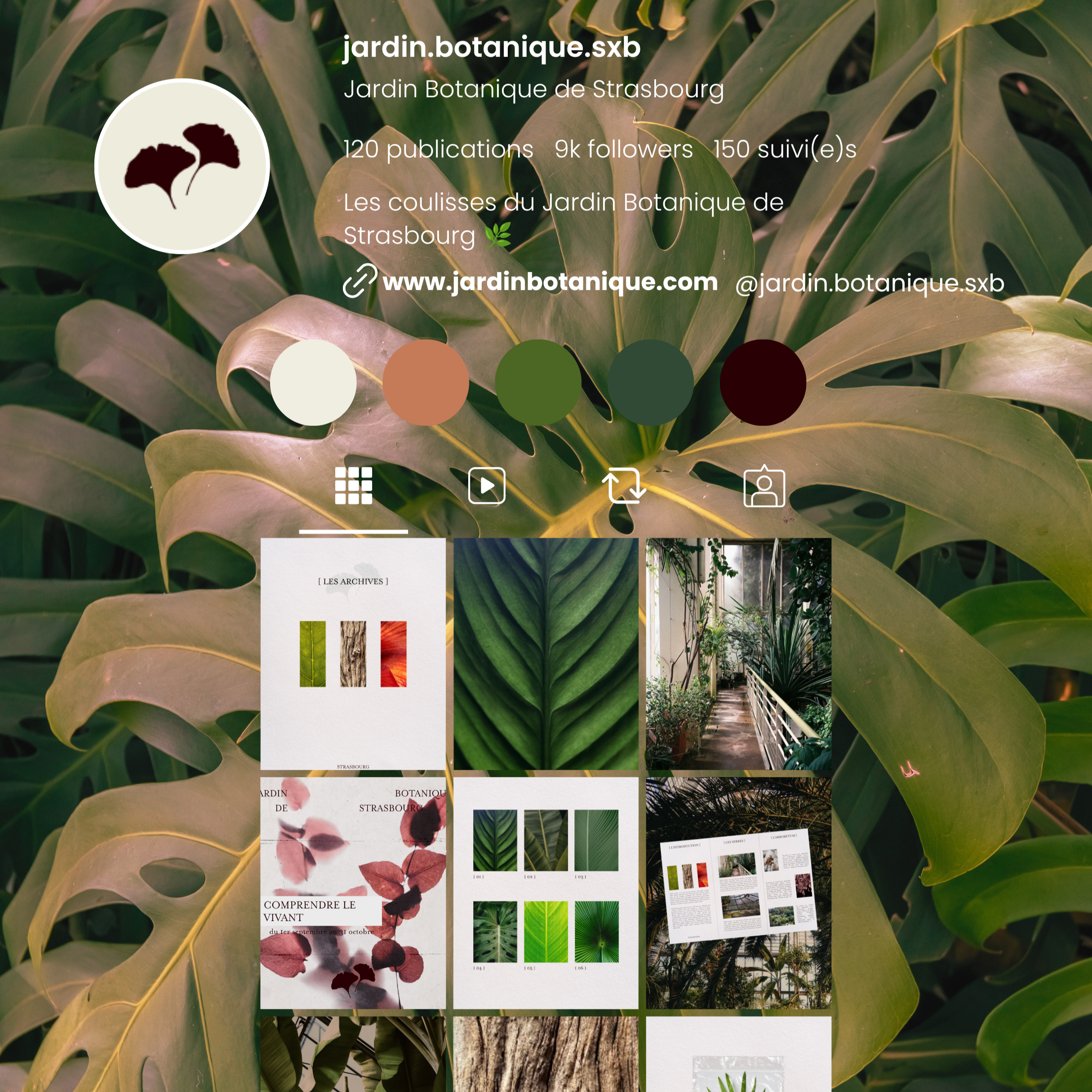 Mockup+templates+Insta.png