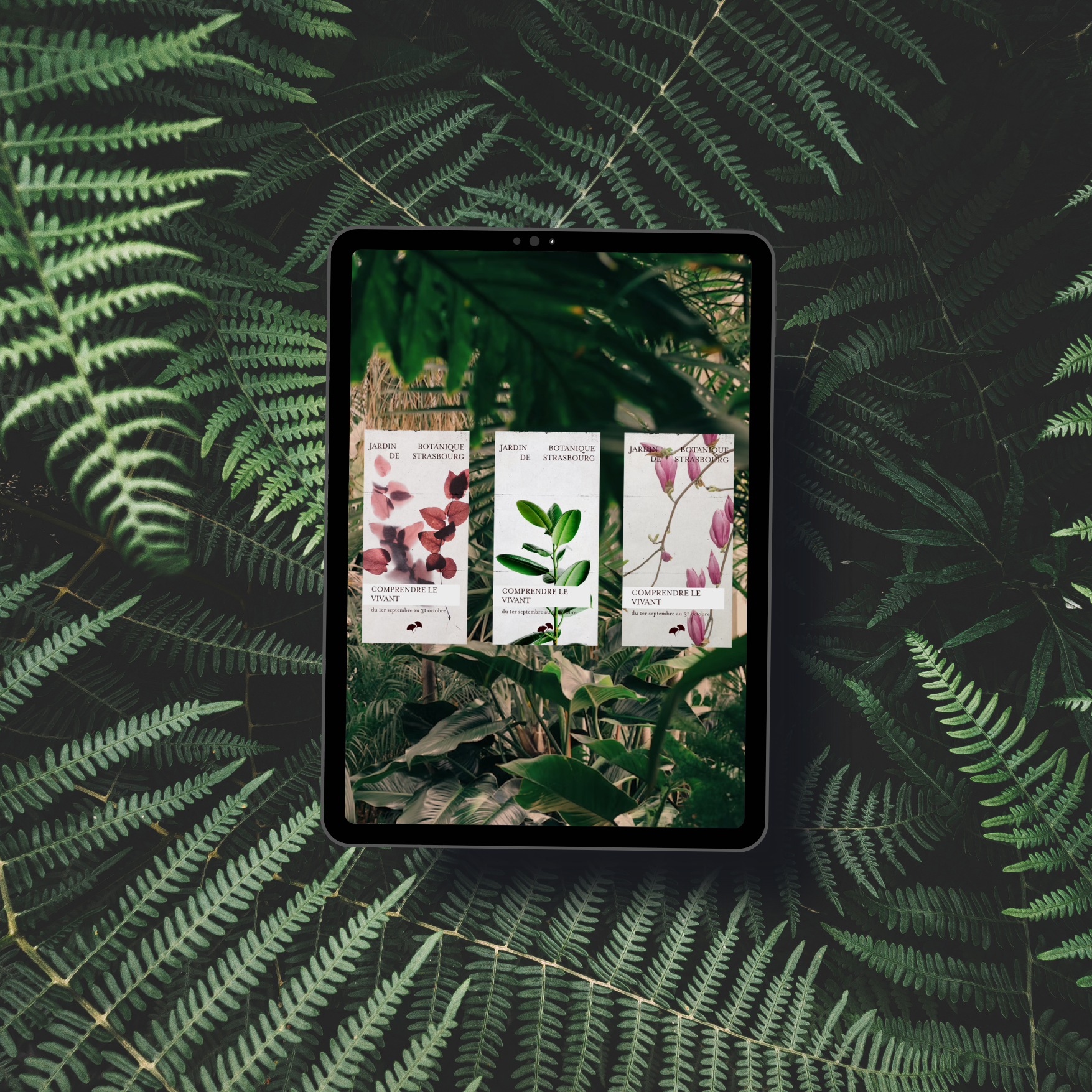 Mockup ipad.png