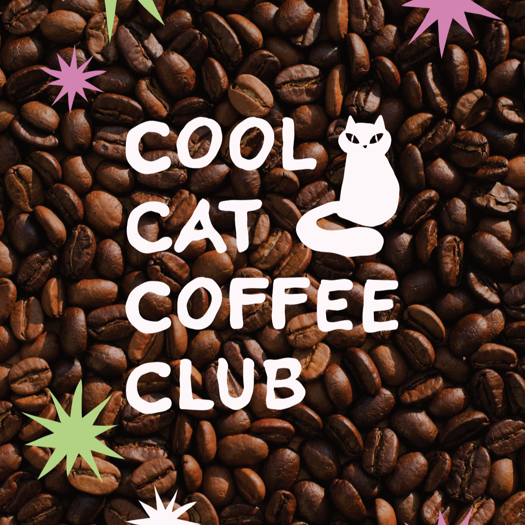Un fond d'images de grains de café avec le texte 'Cool Cat Coffee Club' en blanc et un dessin d'un chat stylisé blanc, assis, avec des formes colorées en haut à gauche et en bas à gauche.