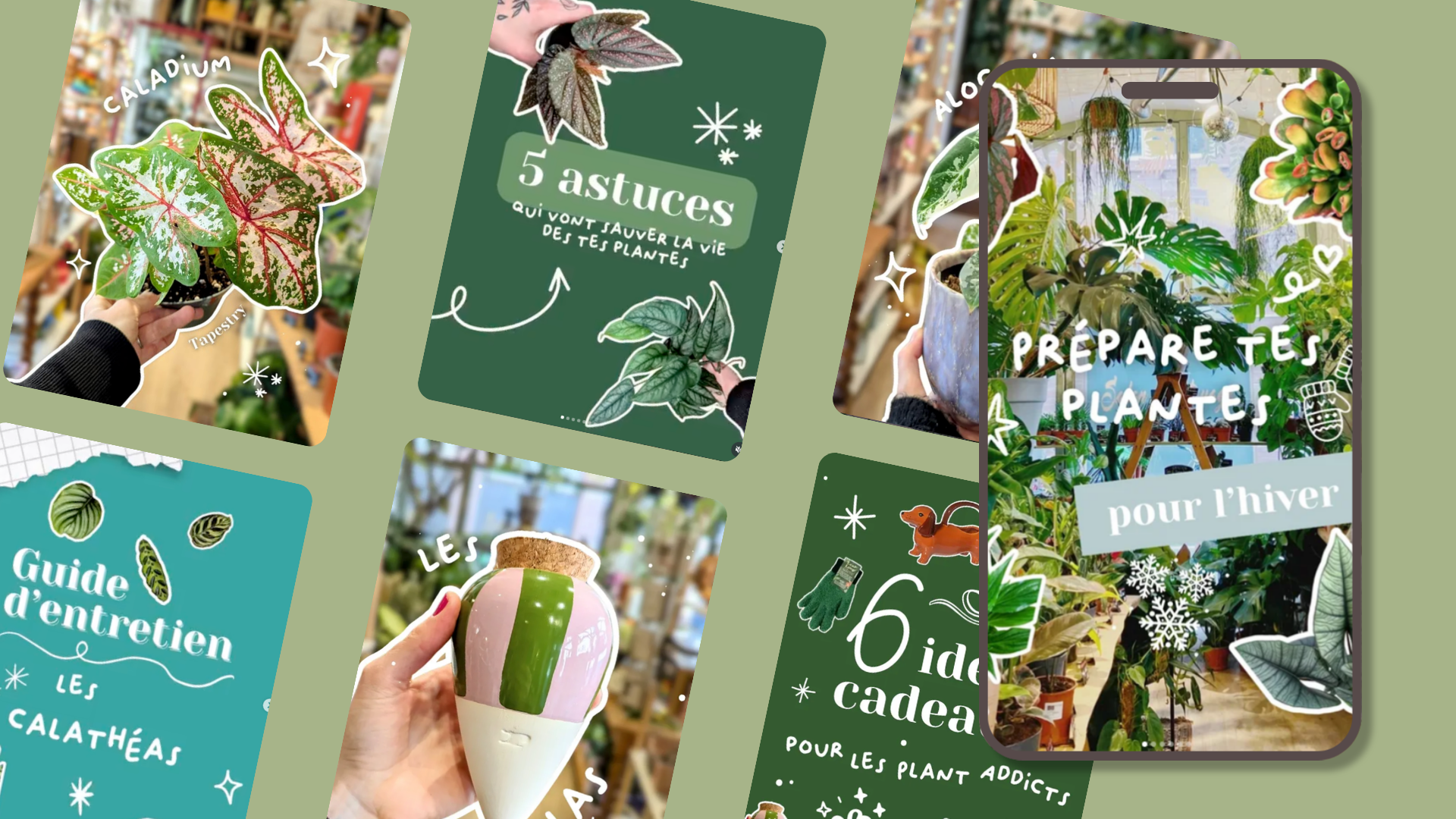 Collection d'images liées à la culture de plantes en intérieur, comprenant des brochures ou guides, des plantes en pot, et des décorations verdoyantes avec des textes en français sur l'entretien, la sauvegarde des plantes, et la préparation pour l'hiver.
