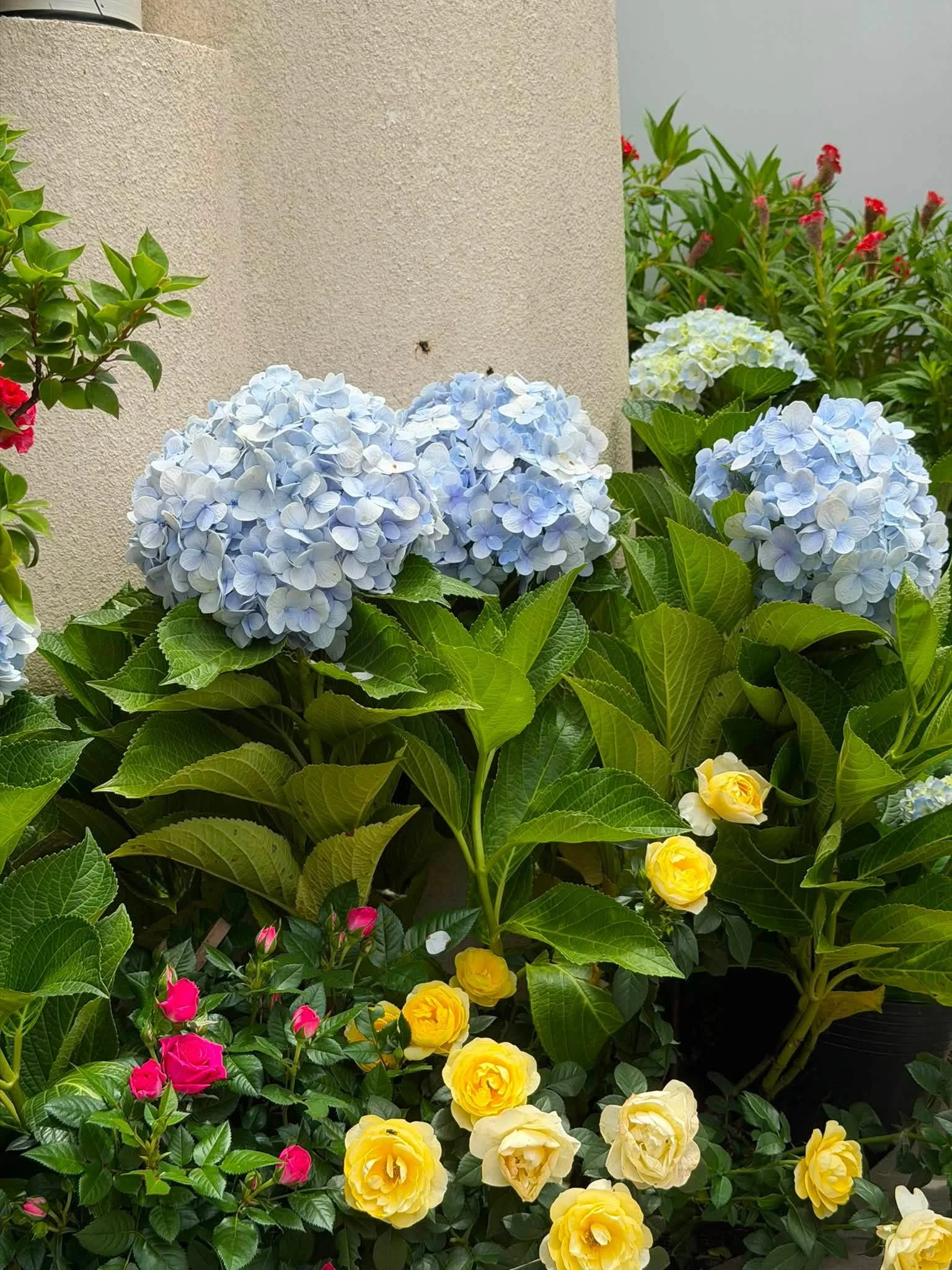 758951259_3089983848052905_6539301097760059581_n.jpg