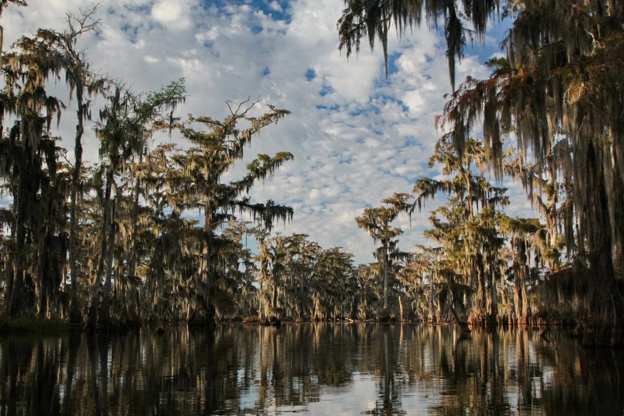 From Exile to Erasure: The Long History of Discrimination Against the Cajun People