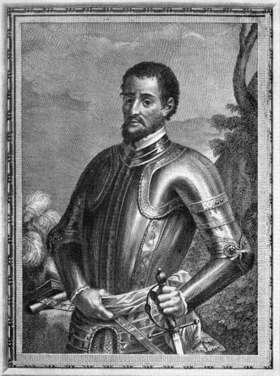 Historical portrait of a man dressed in armor with a sword, holding a scroll, set outdoors with trees in the background.