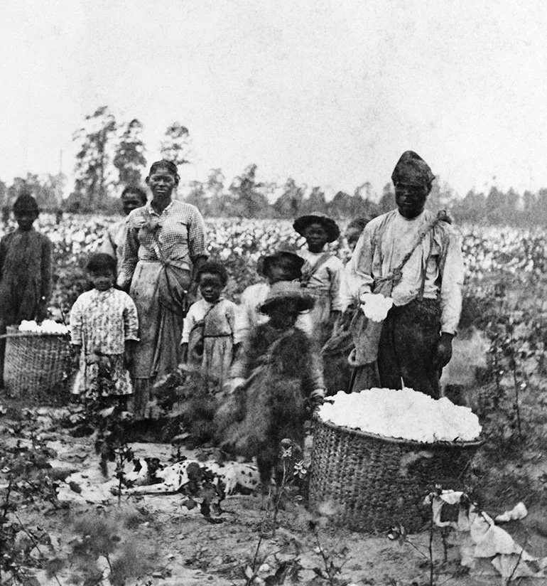 Group of people, including men, women, and children, working in an agricultural field with baskets of produce, possibly cotton, and animals like goats, in a rural setting.
