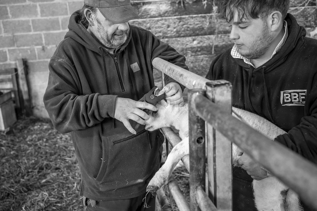 Tenant Farming