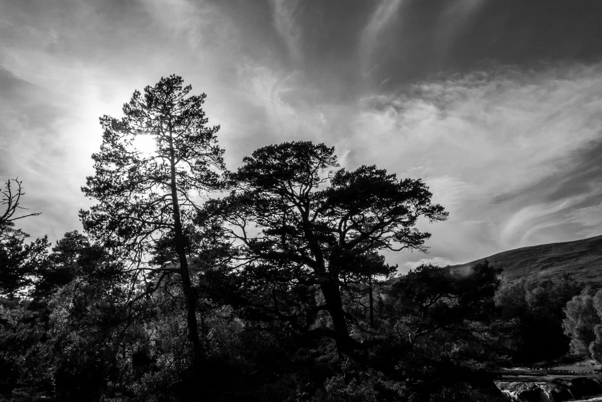 Musings #2 - Heart and Soul