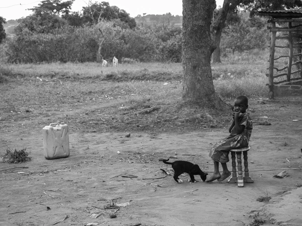 Educating out of poverty