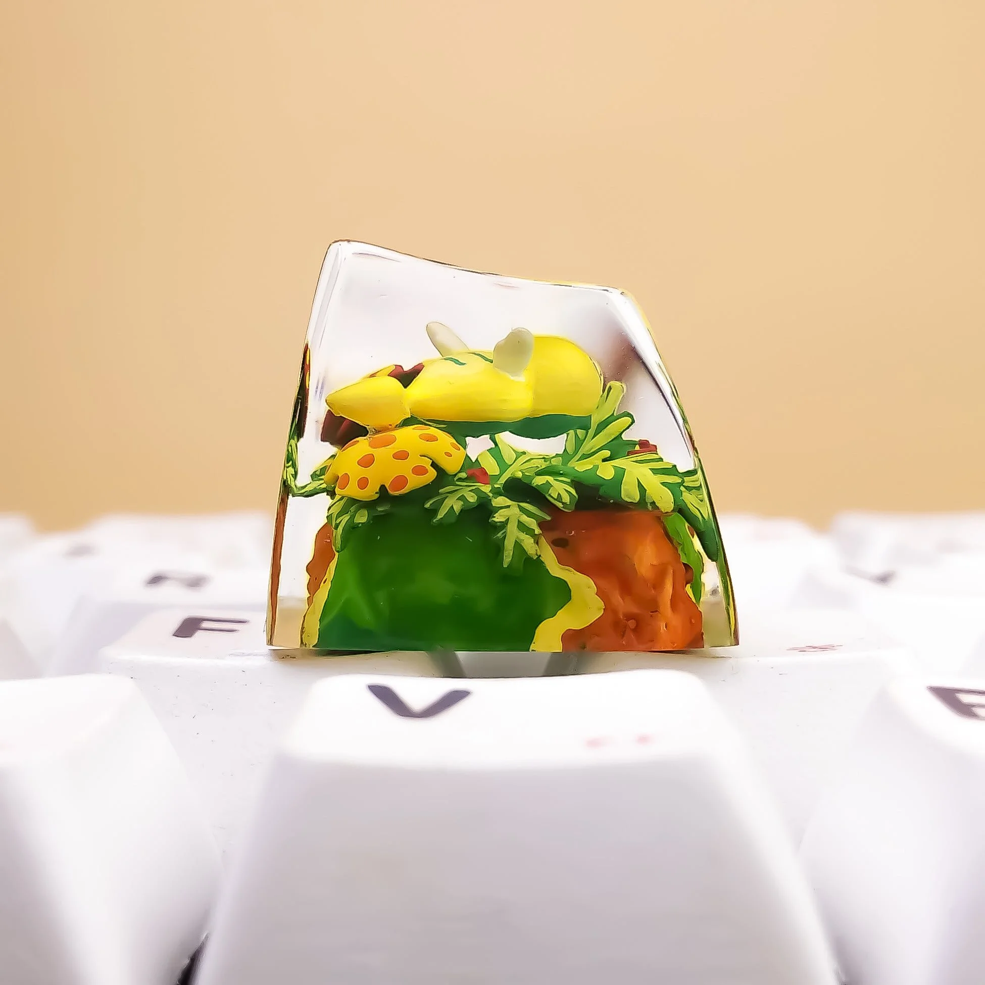 1684579345463.jpg