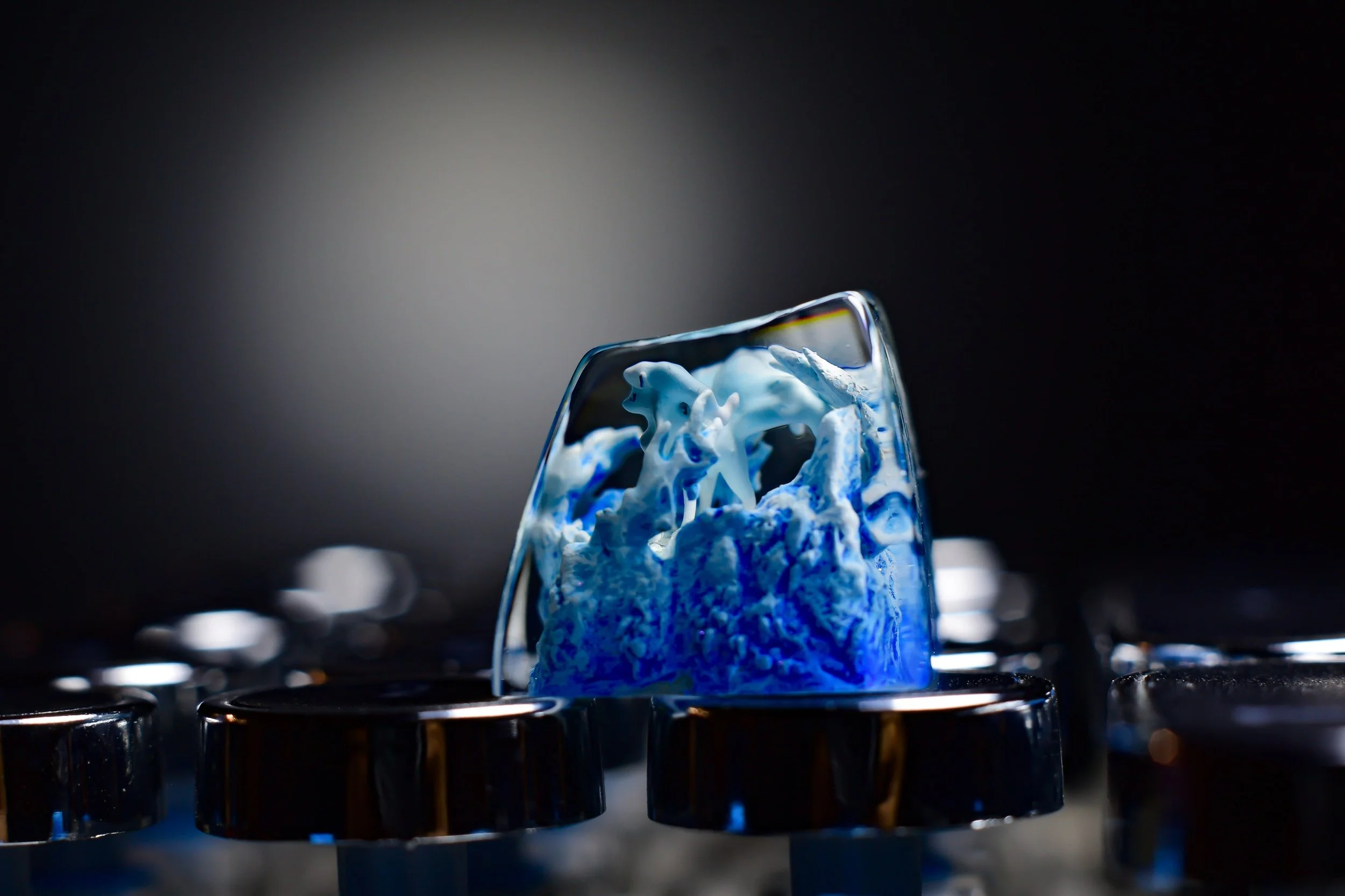 1730394484239.jpg