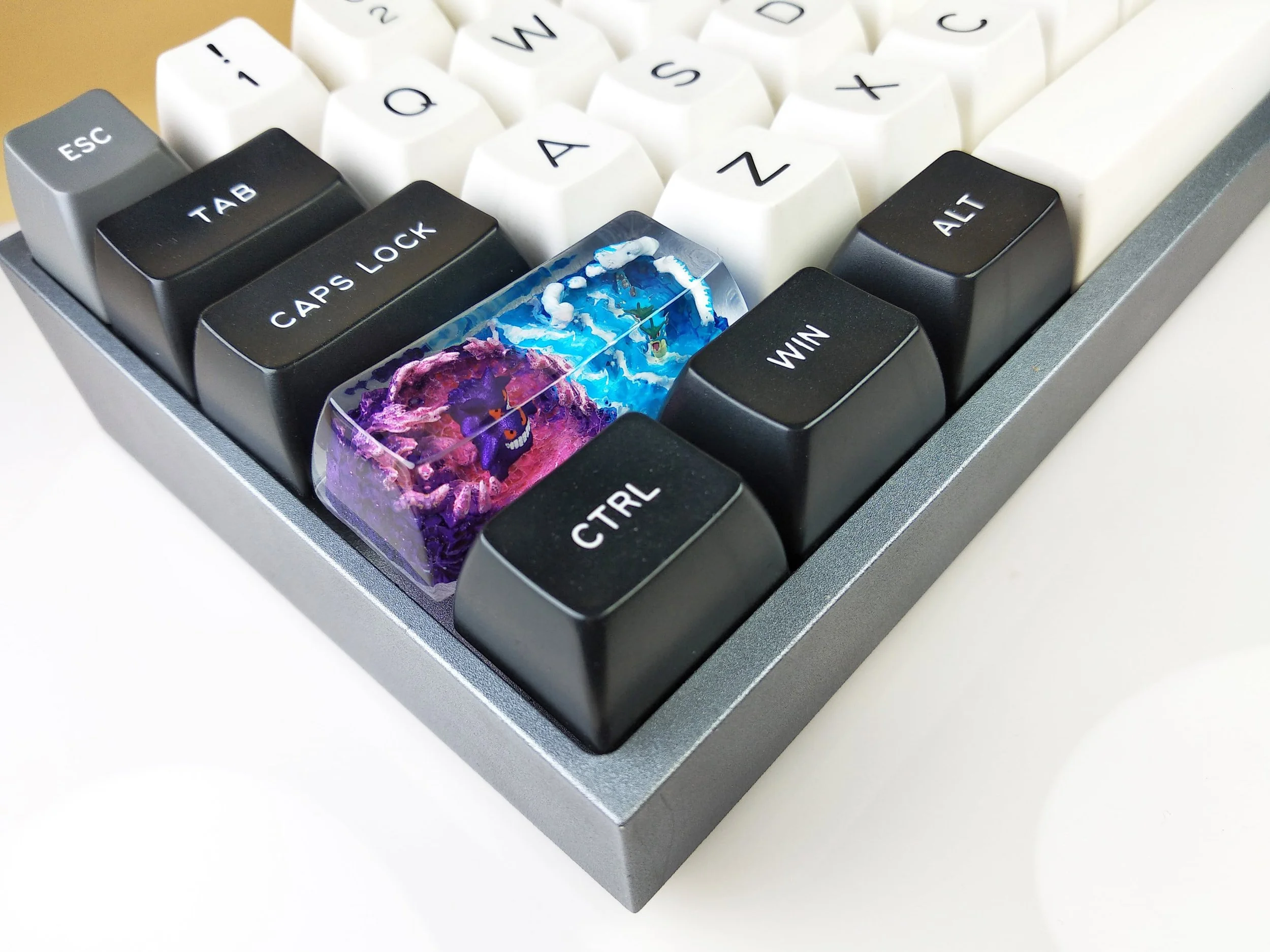 1673811258426.jpg