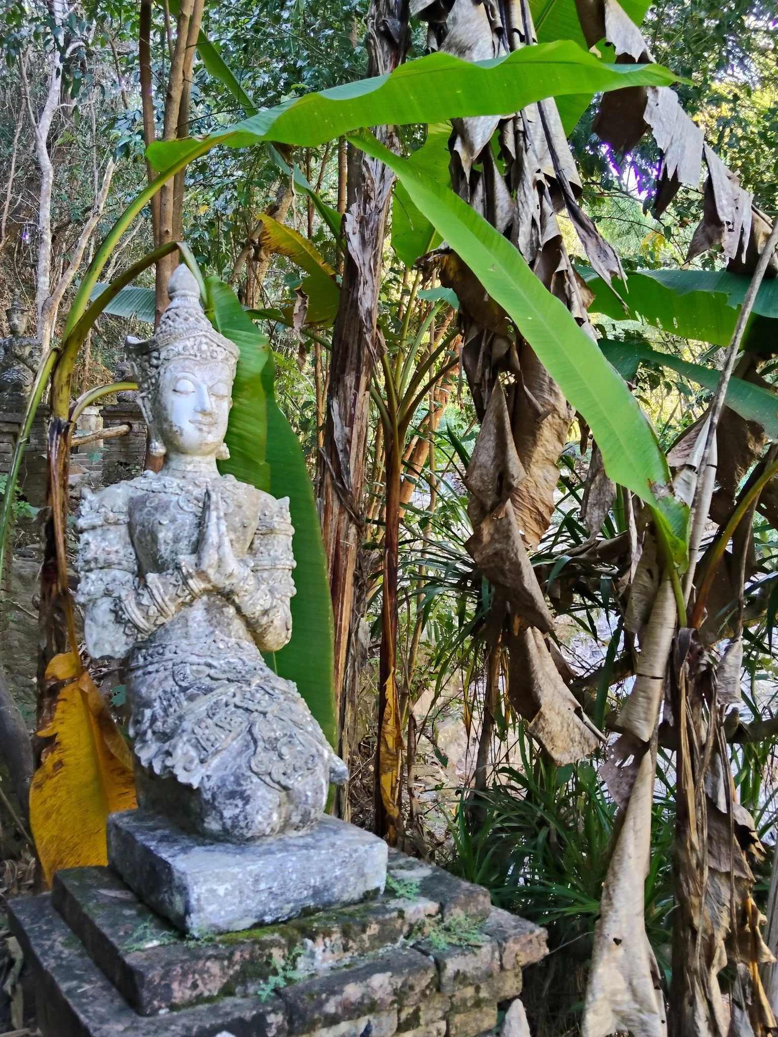 Stone Buddha statue with a peaceful face and decorative headdress, partially obscured by large green leaves, situated on a stone platform in a dense, tropical garden with dry and green leaves, trees, and purple flowers in the background.