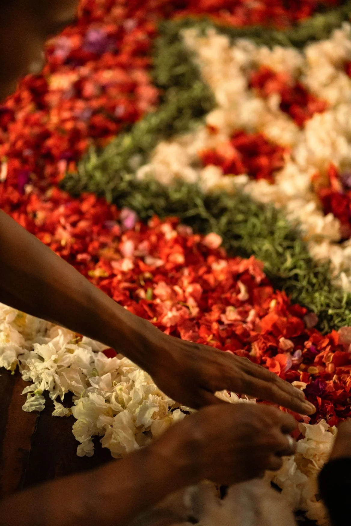 Hands arranging flower petals on a tray, with colorful flower petals and greenery in the background.