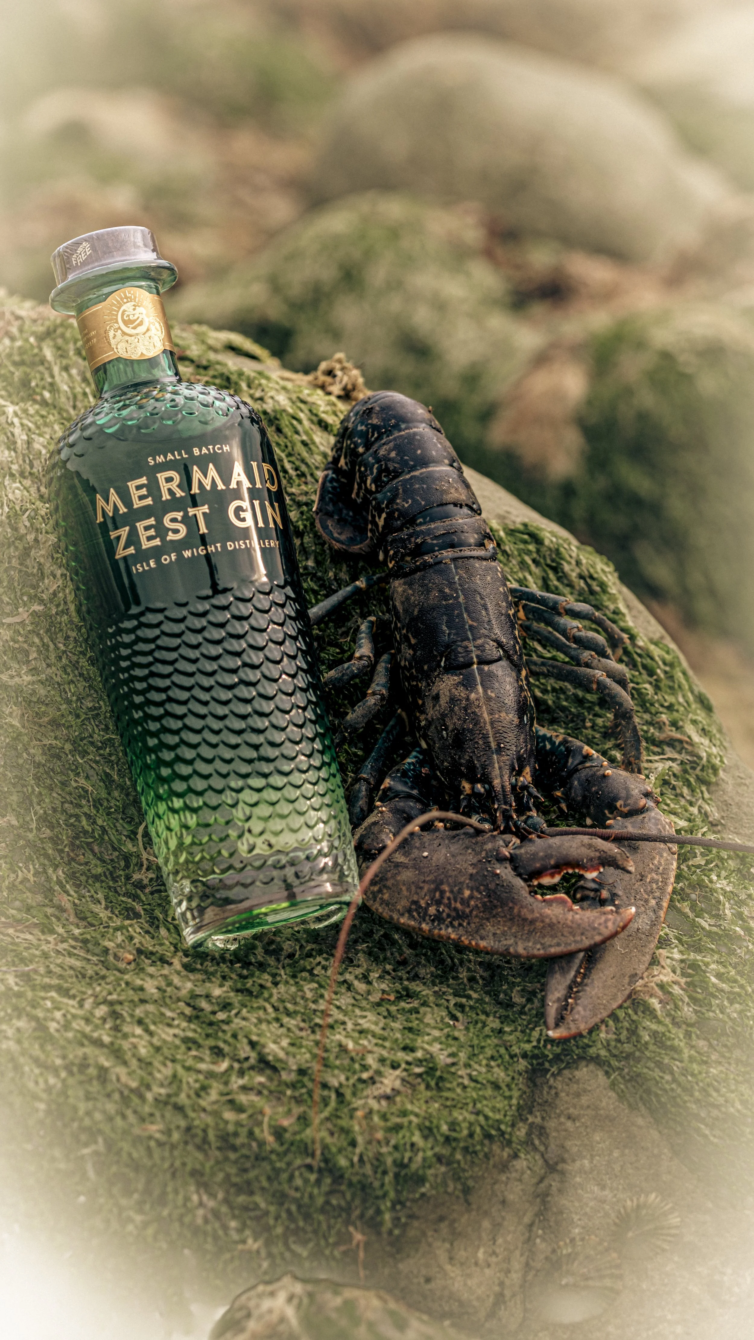 A bottle of Mermaid Zest Gin and a lobster on a moss-covered rock.