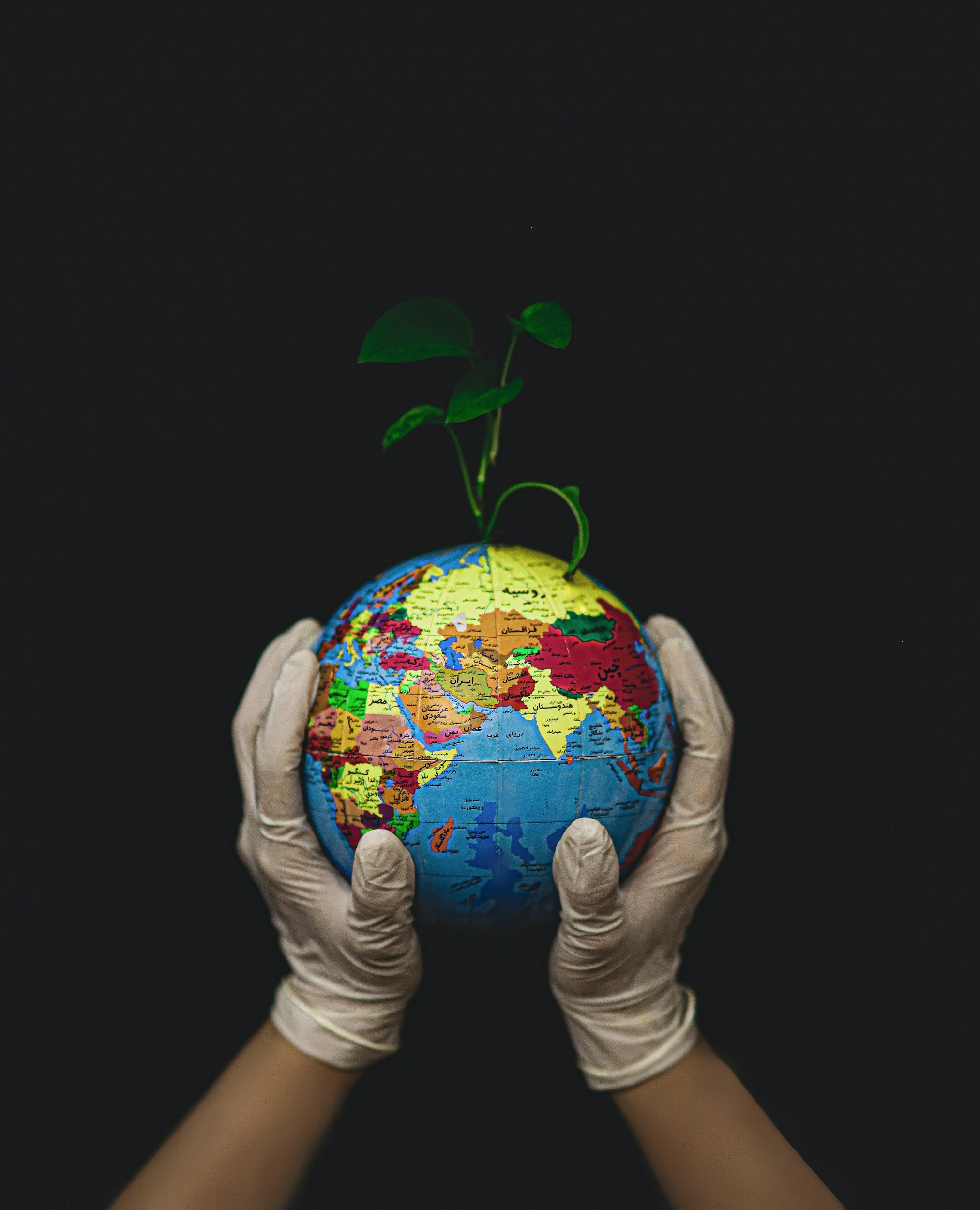Hands in medical gloves holding a small globe with a green plant growing out of it, against a dark background.