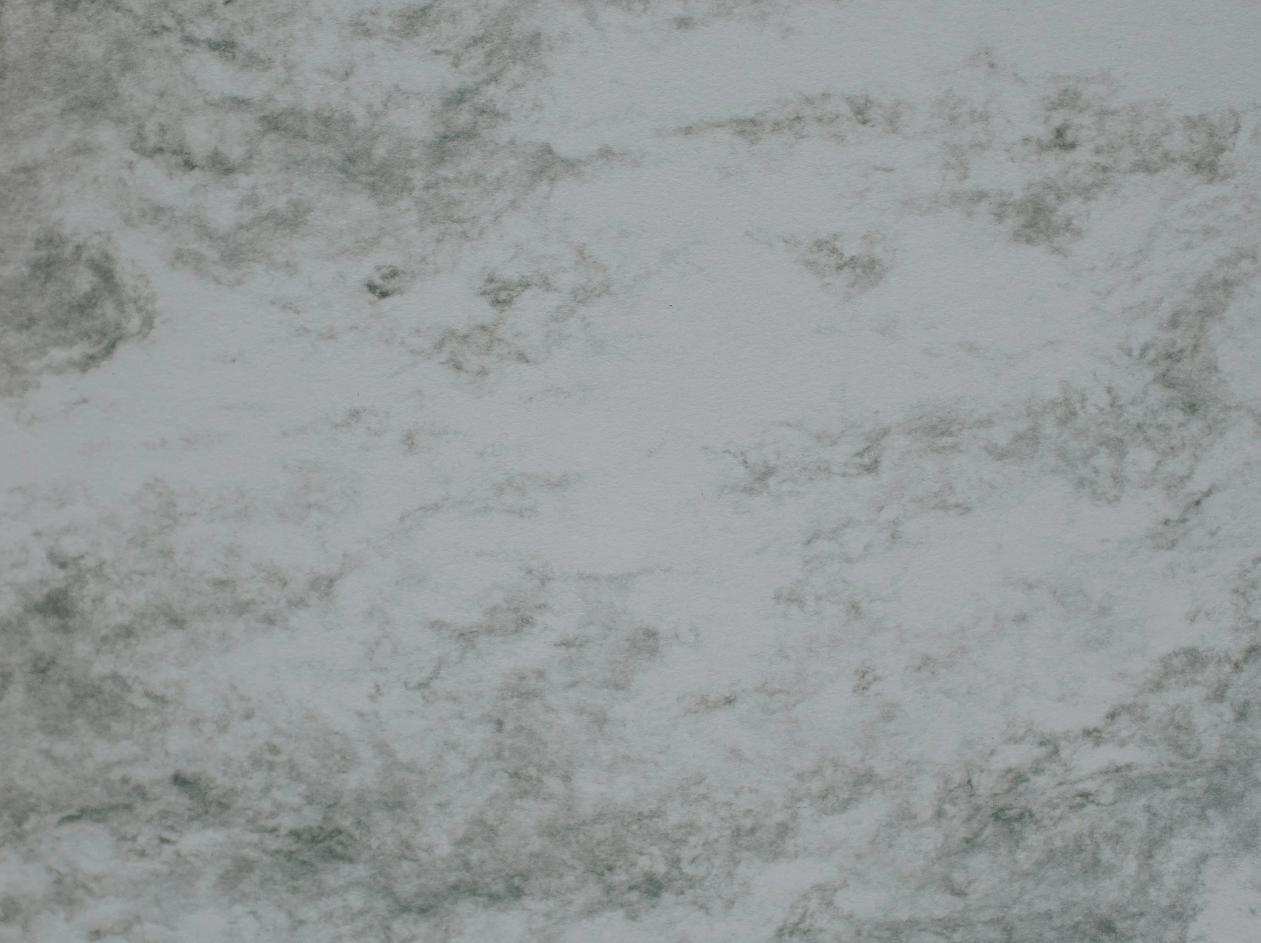 Close-up of a textured surface with irregular dark gray and black patches on a white background, resembling mold or mineral deposits.