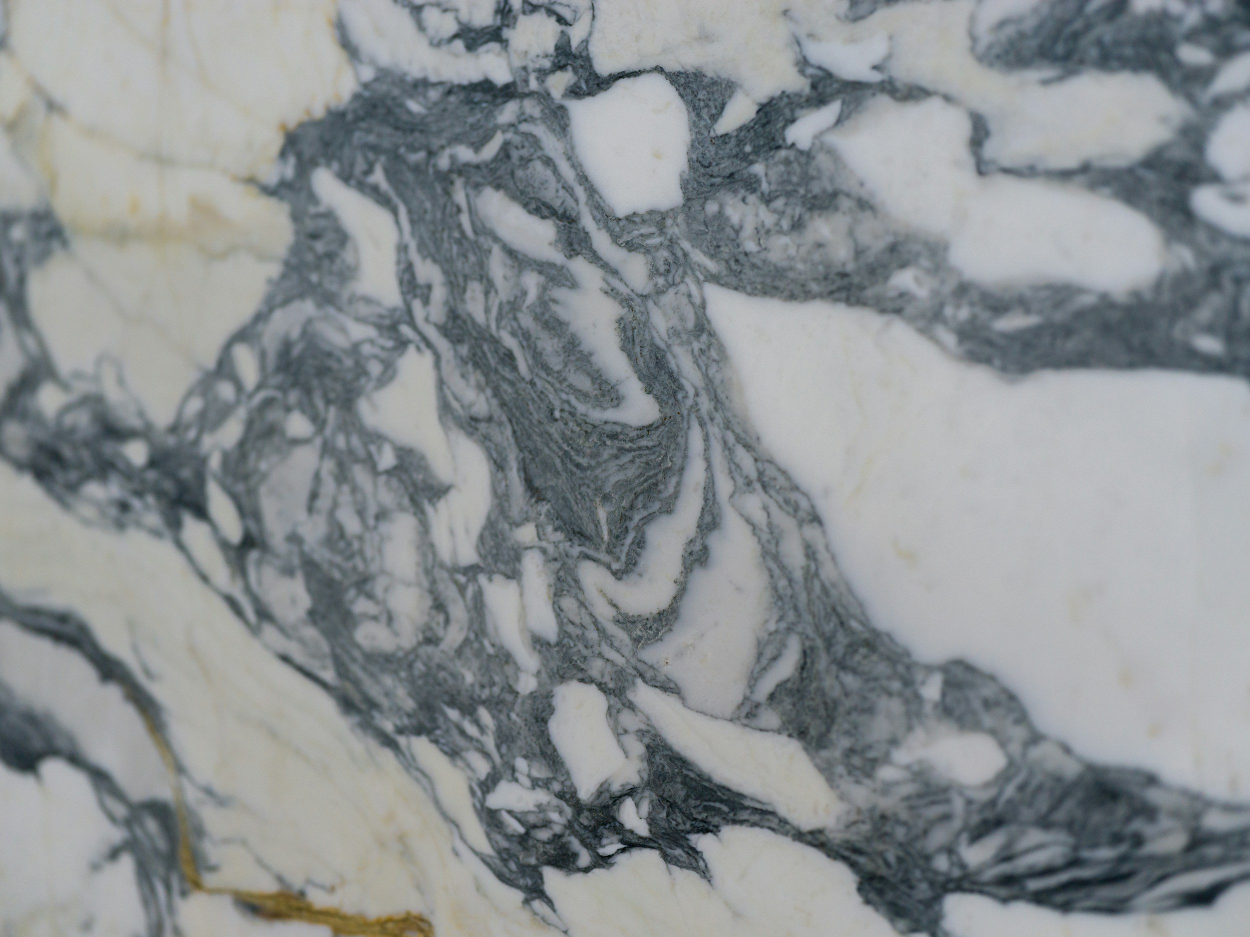 Close-up of a marble surface with black and white swirling patterns.