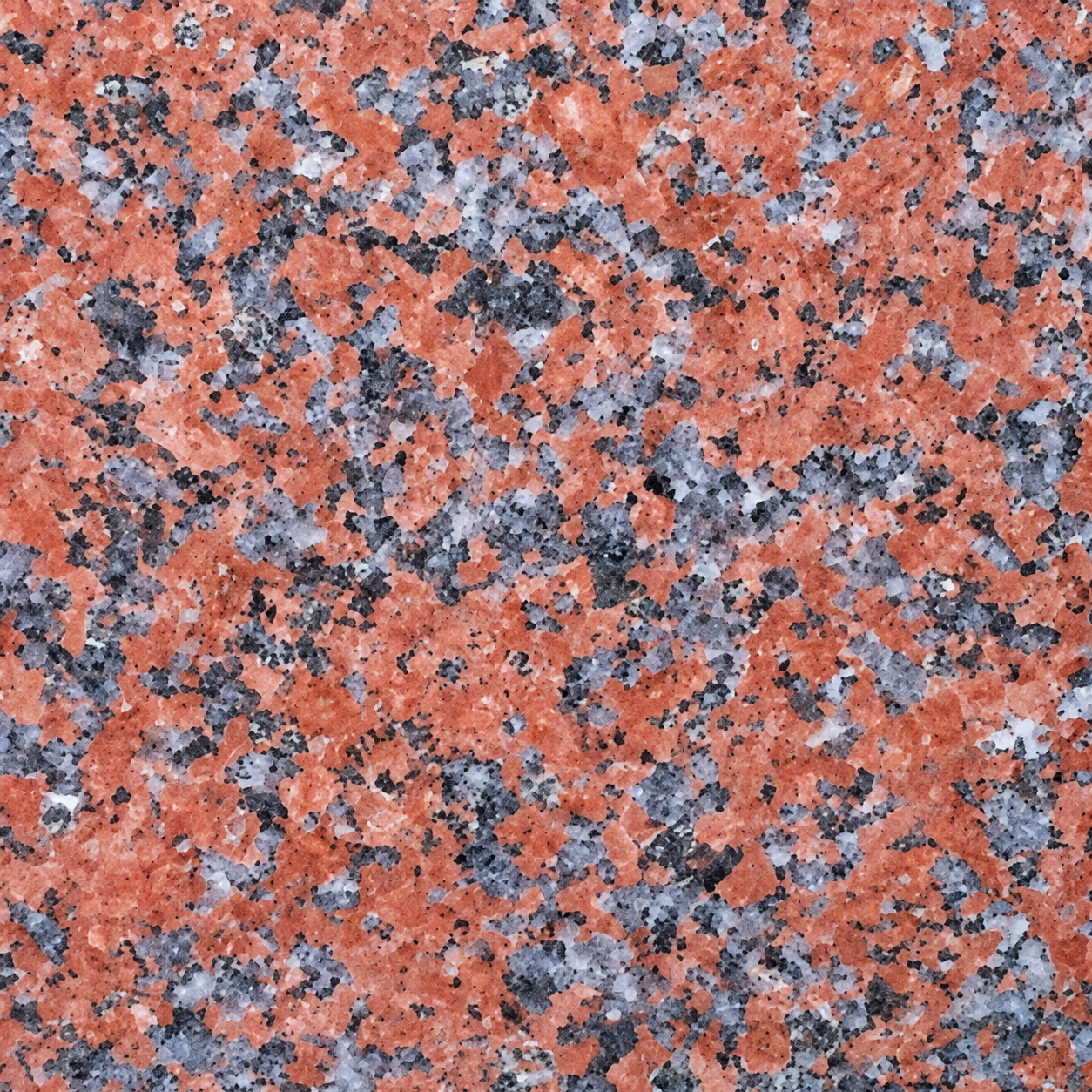 Africa Red