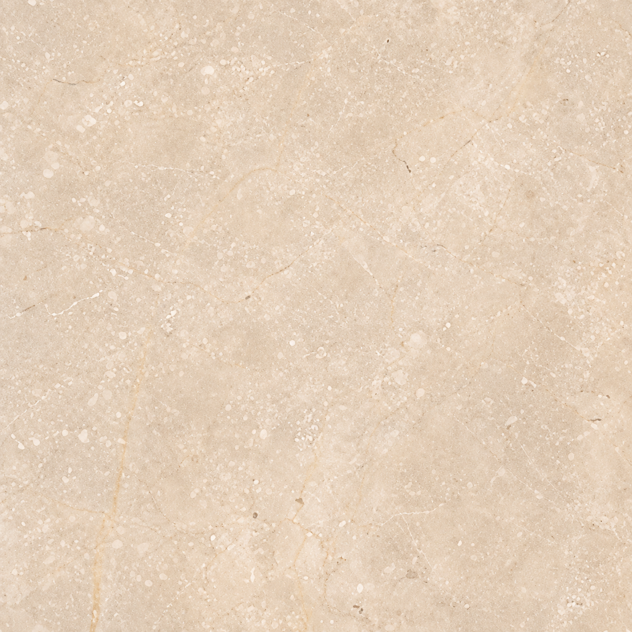 Cream Galala