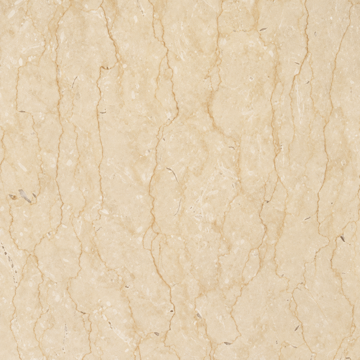 Cream Gold