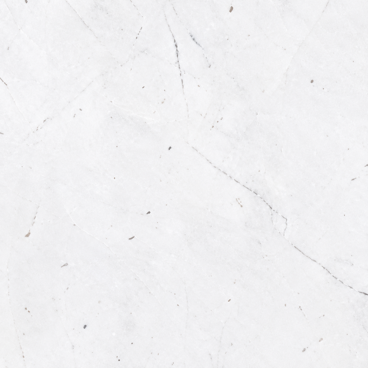 Kyknos White