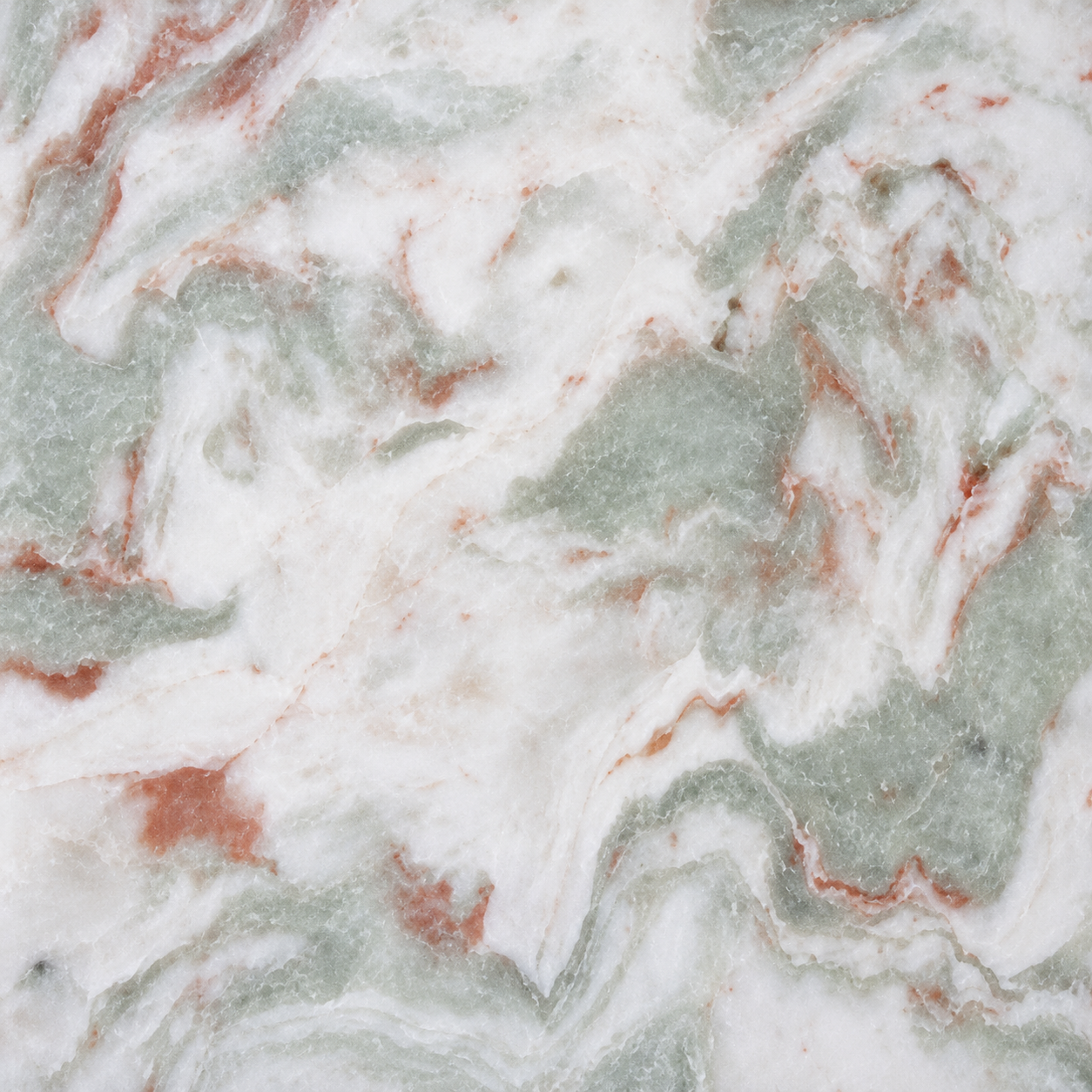 Onyx Green Rose