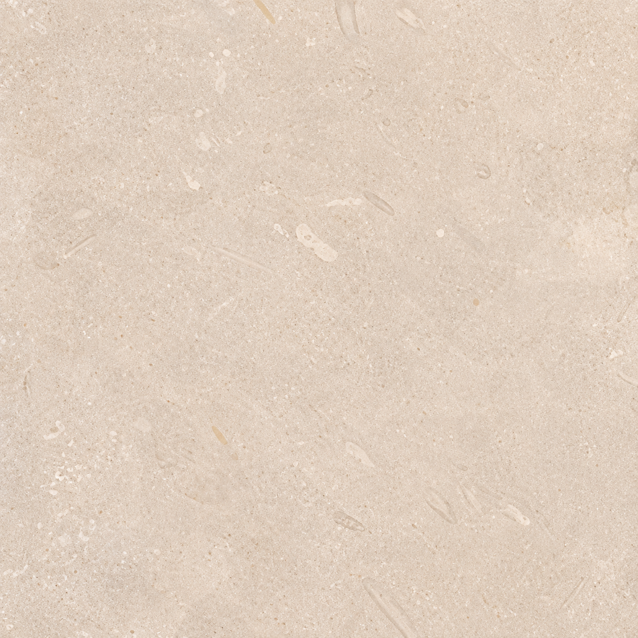 Petra Zachara Beige