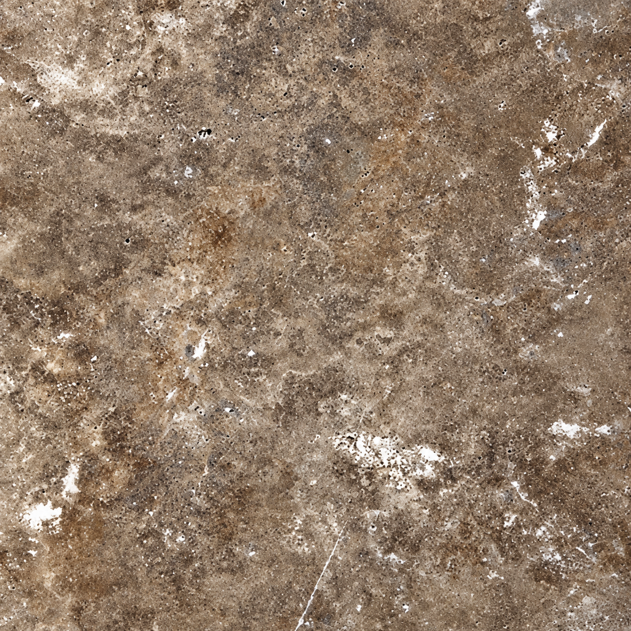 Brown dirt or soil surface with small rocks and patches of white and gray