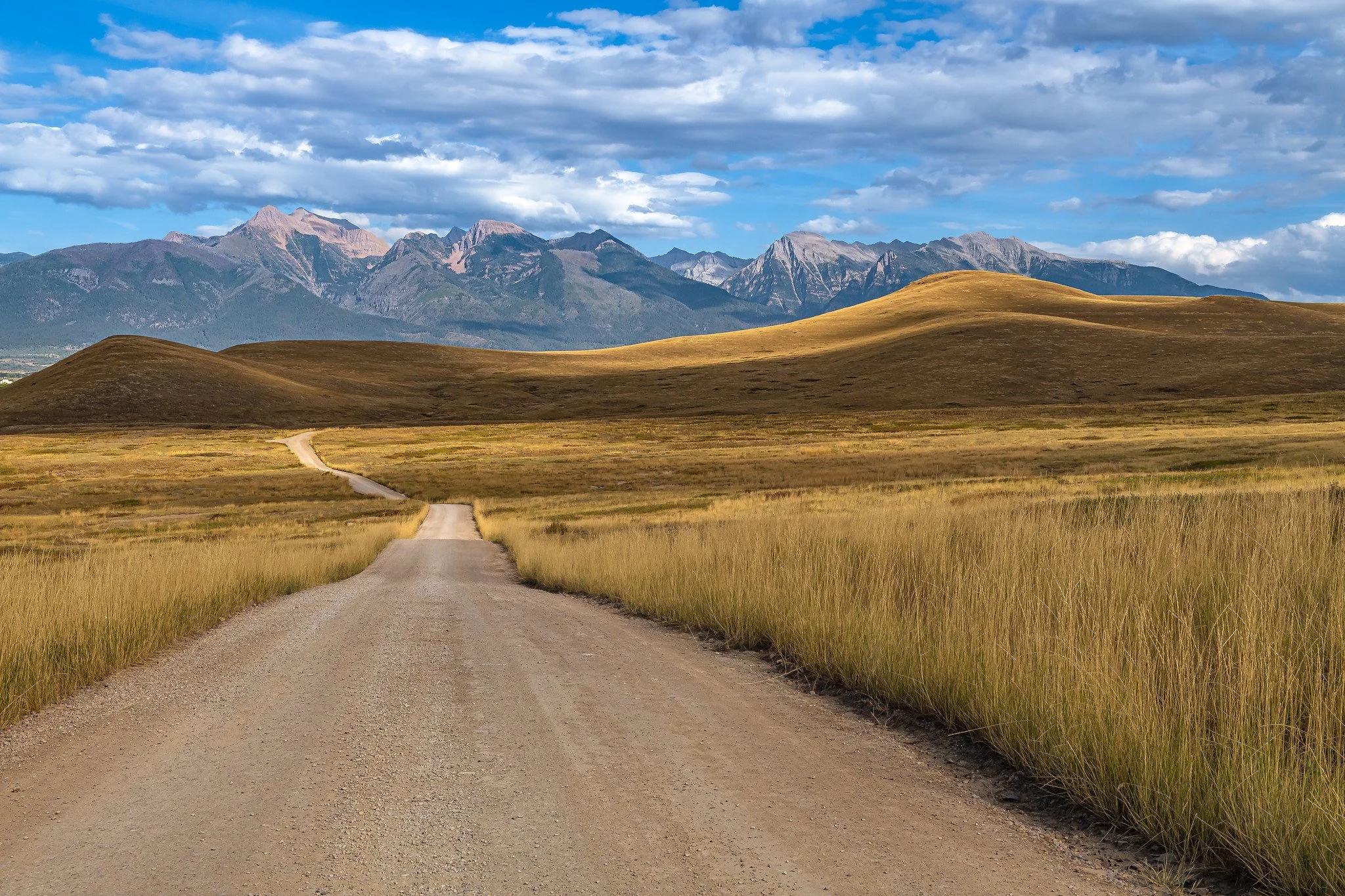 Montana