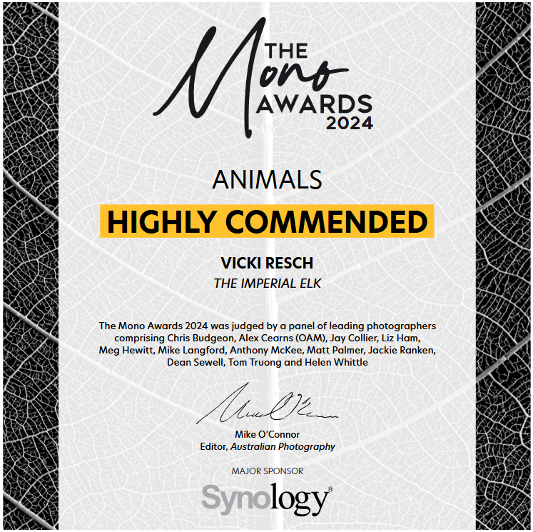 Certificate of highly commended animals award from the 2024 Mono Awards, awarded to Vicki Resch for The Imperial Elk, judged by a panel of photographers, with signatures and sponsor logos.