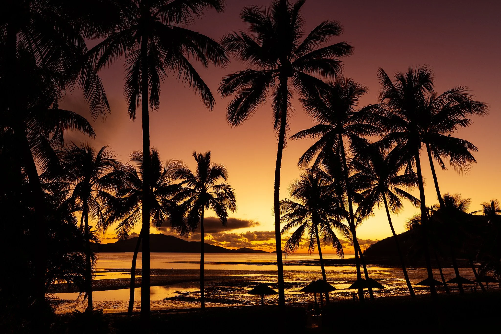 Hamilton Island, QLD