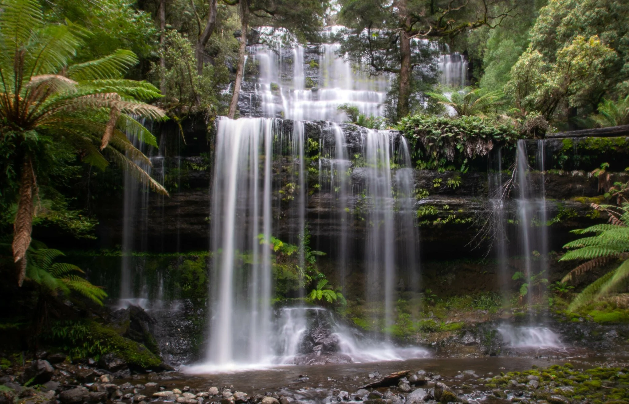 Russell Falls, TAS