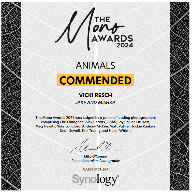 Certificate of commendation from The Mono Awards 2024 recognizing wildlife photography of animals, awarded to Vicki Resch, judged by a panel of leading photographers.