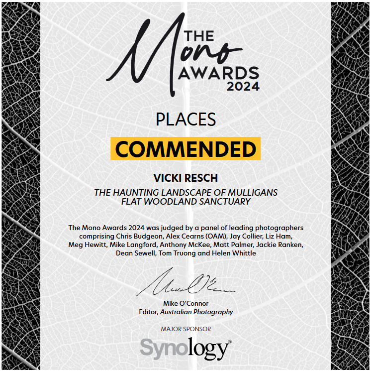 Certificate from the Mono Awards 2024 recognizing Vicki Resch for the project titled 'The Haunting Landscape of Mulligans Flat Woodland Sanctuary,' with signature of Mike O'Connor, editor of Australian Photography, and sponsored by Synology, featurin