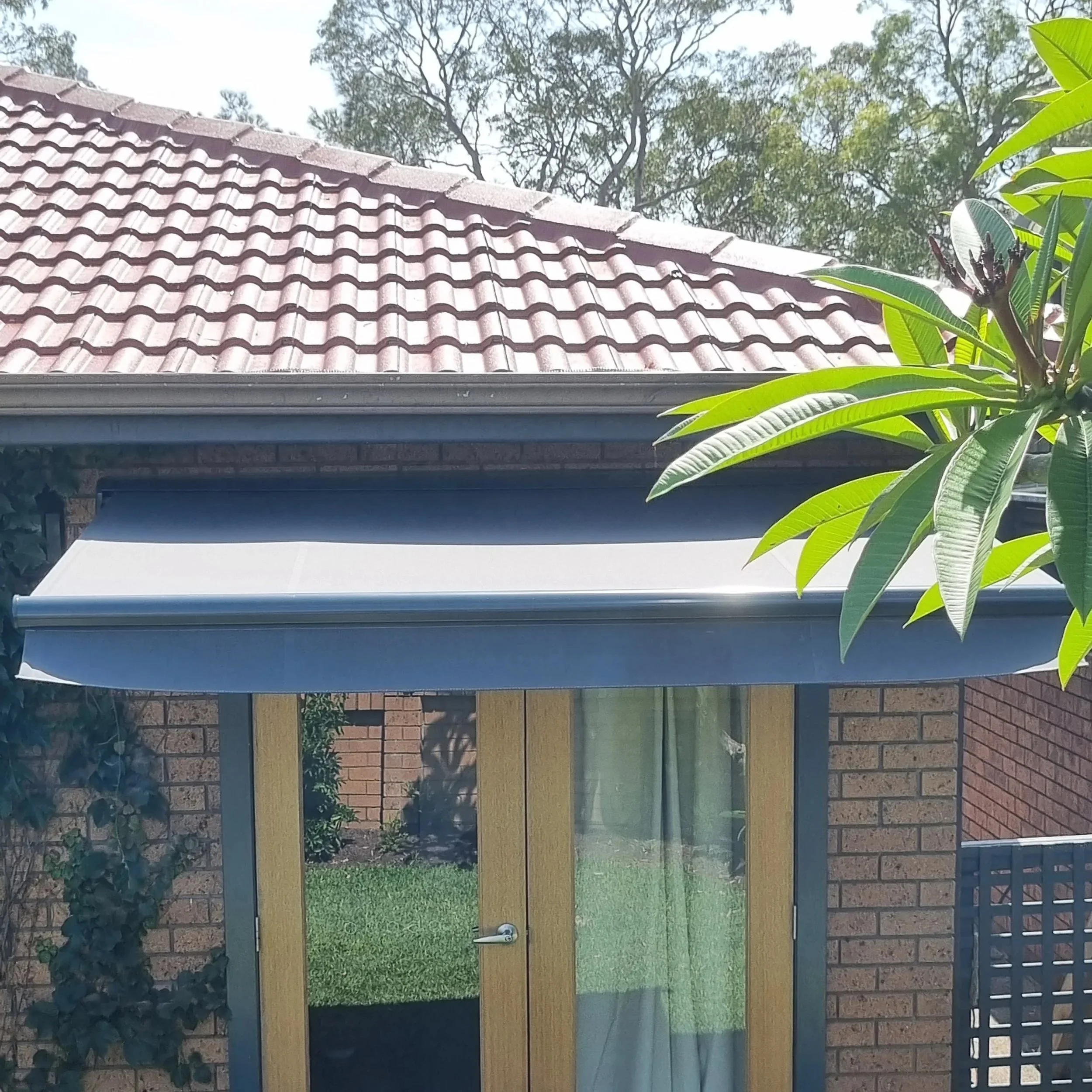 Folding arm awning
