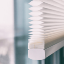 Cellular Blinds