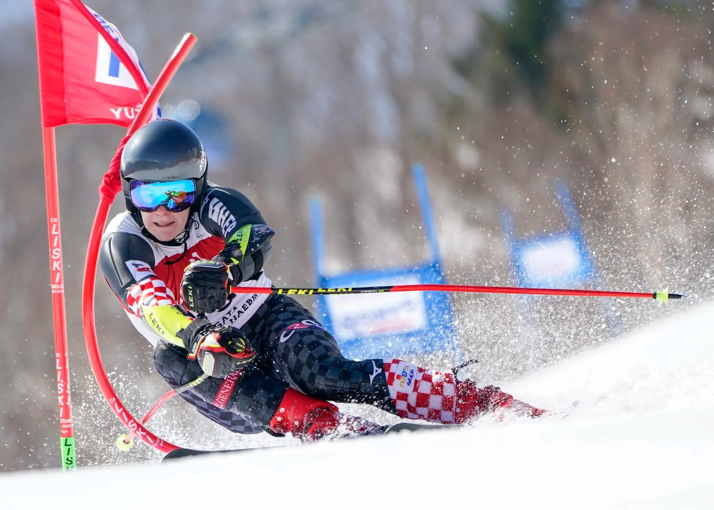 alpine-skiing-giant-slalom-gate-tokyo-sports-photographer.jpg