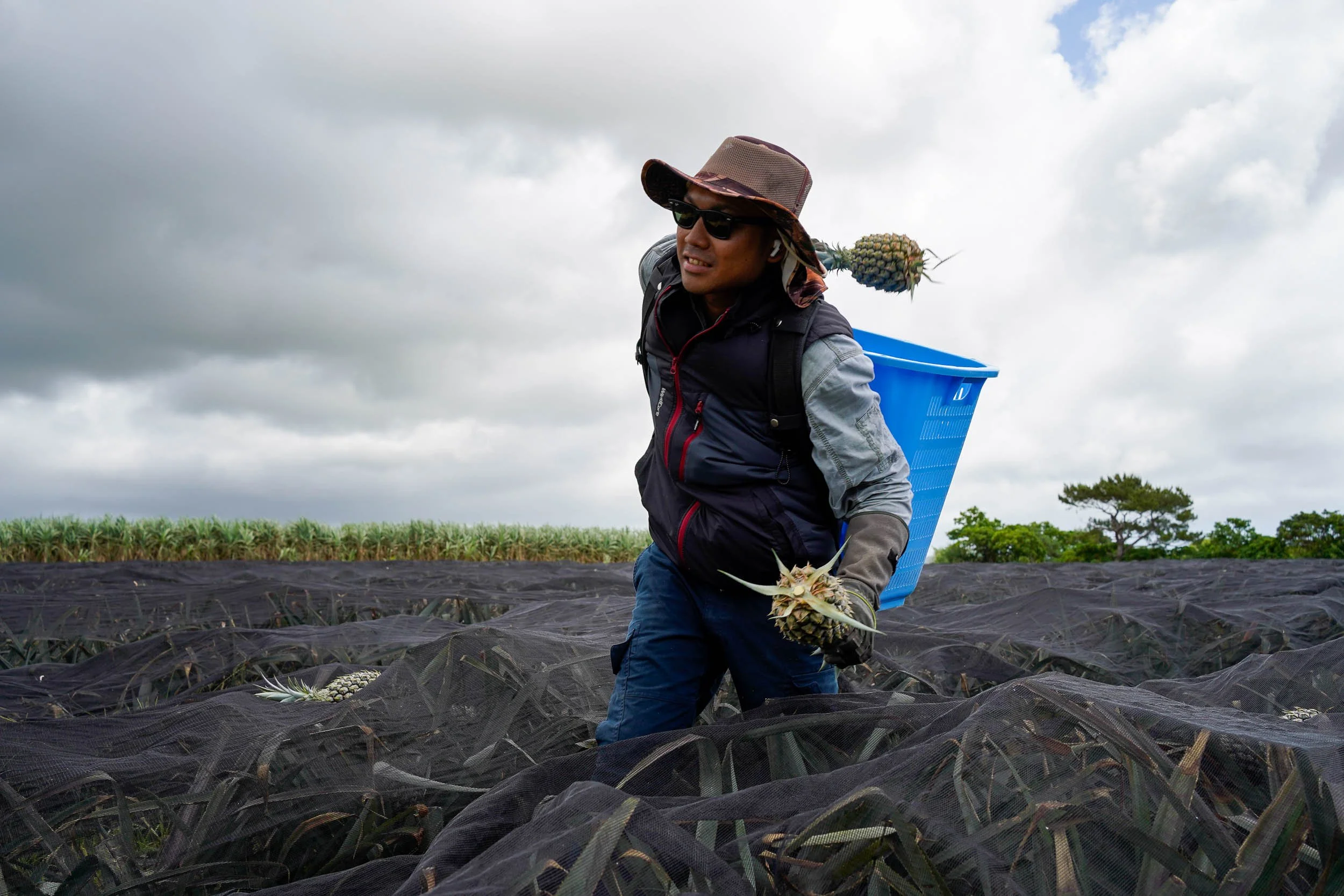 environmental-portraiture-pineapple-farmer-okinawa-japan.JPG