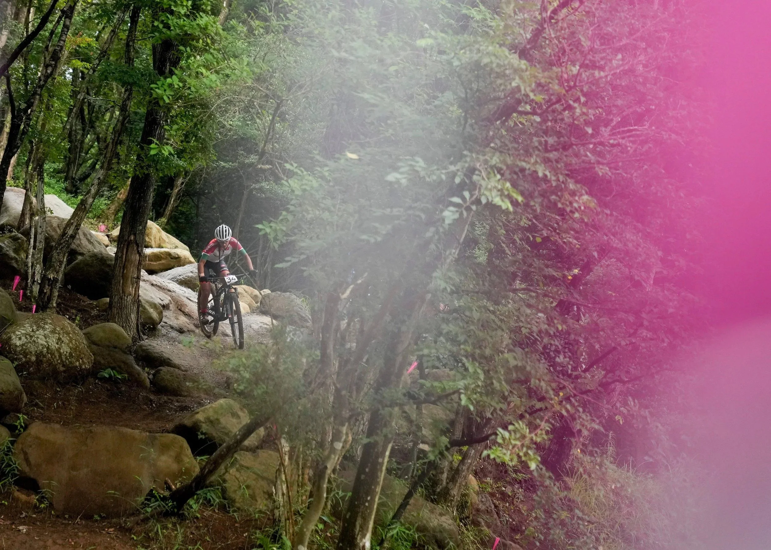 mountain-bike-cross-country-forest-trail-tokyo-sports-photographer.jpg