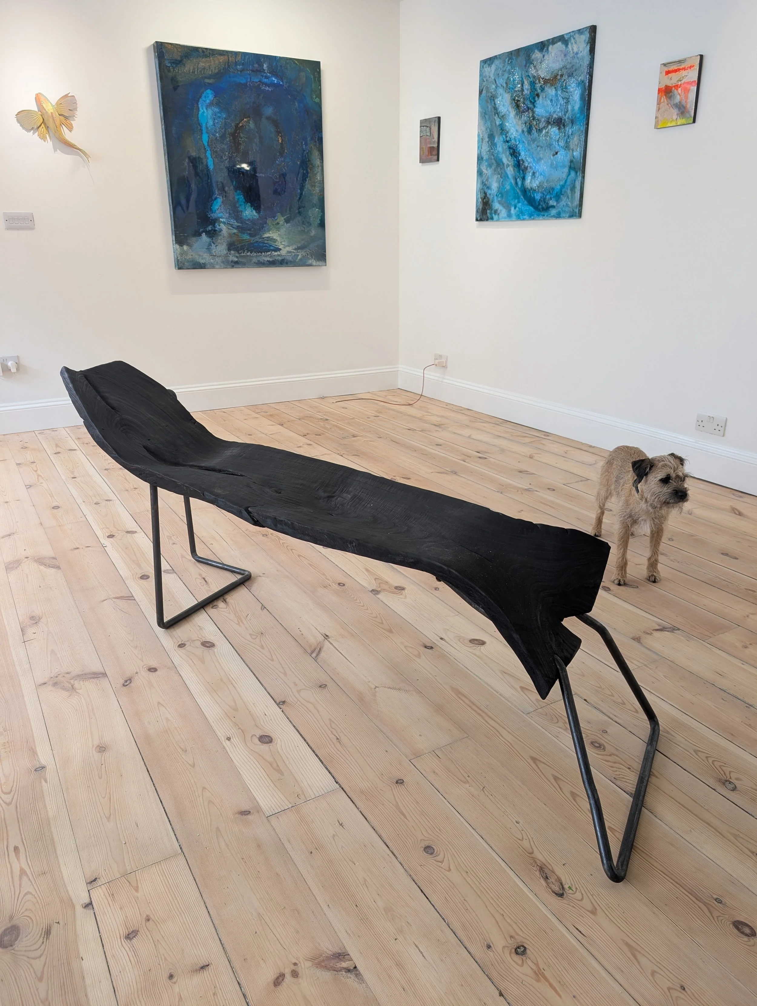 An art gallery with blue abstract paintings on white walls, a black curved wooden bench, and a small brown dog near the bottom right corner.